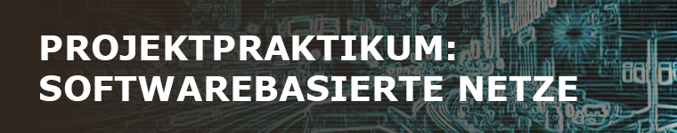 Projektpraktikum: Softwarebasierte Netze